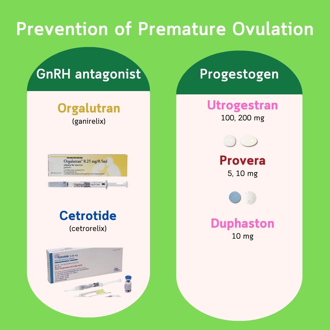 Prevention of premature ovulation — GnRH antagonists (Orgalutran, Cetrotide) and Progestogens (Utrogestran, Provera, Duphaston)